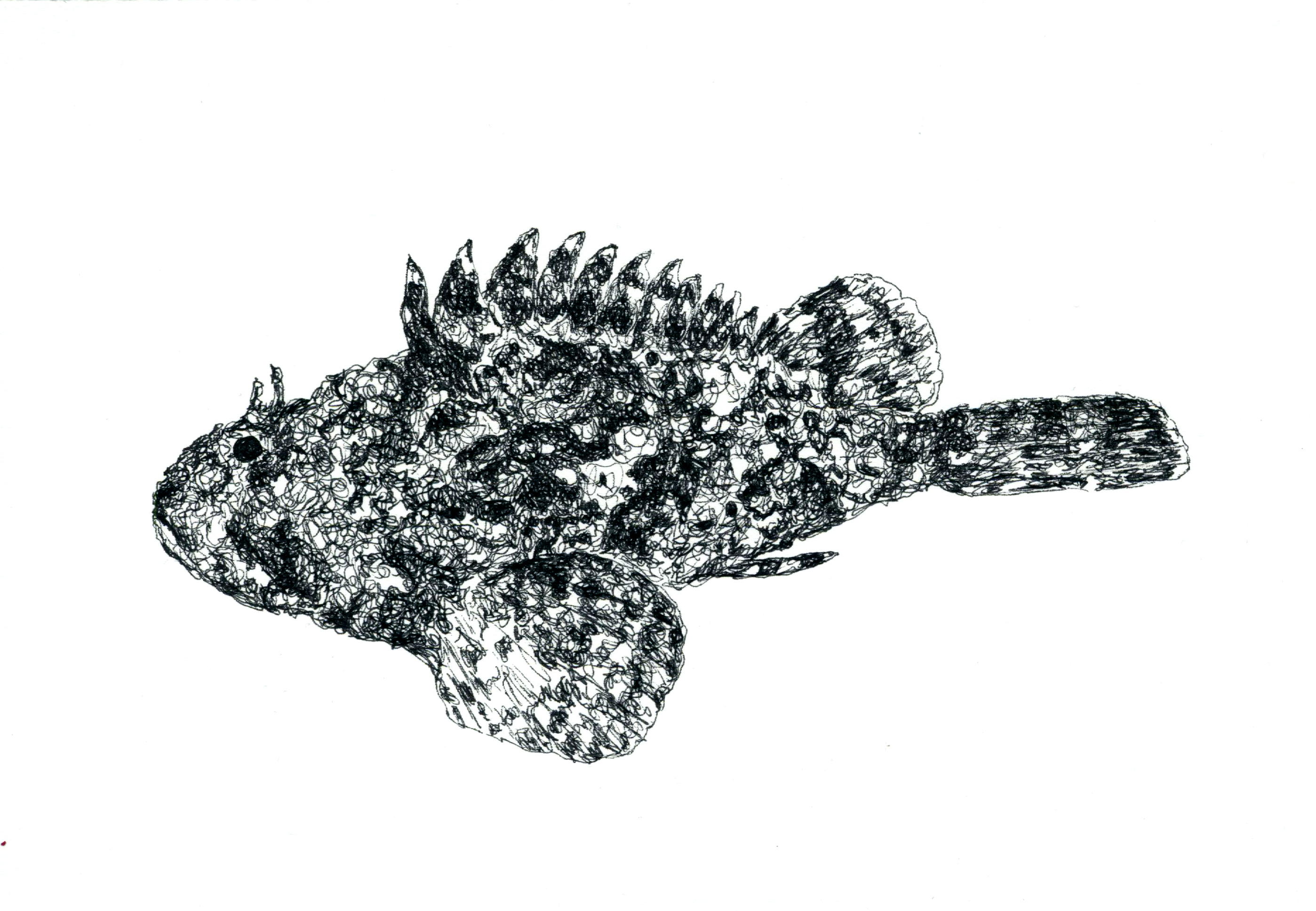 Especies peligrosas